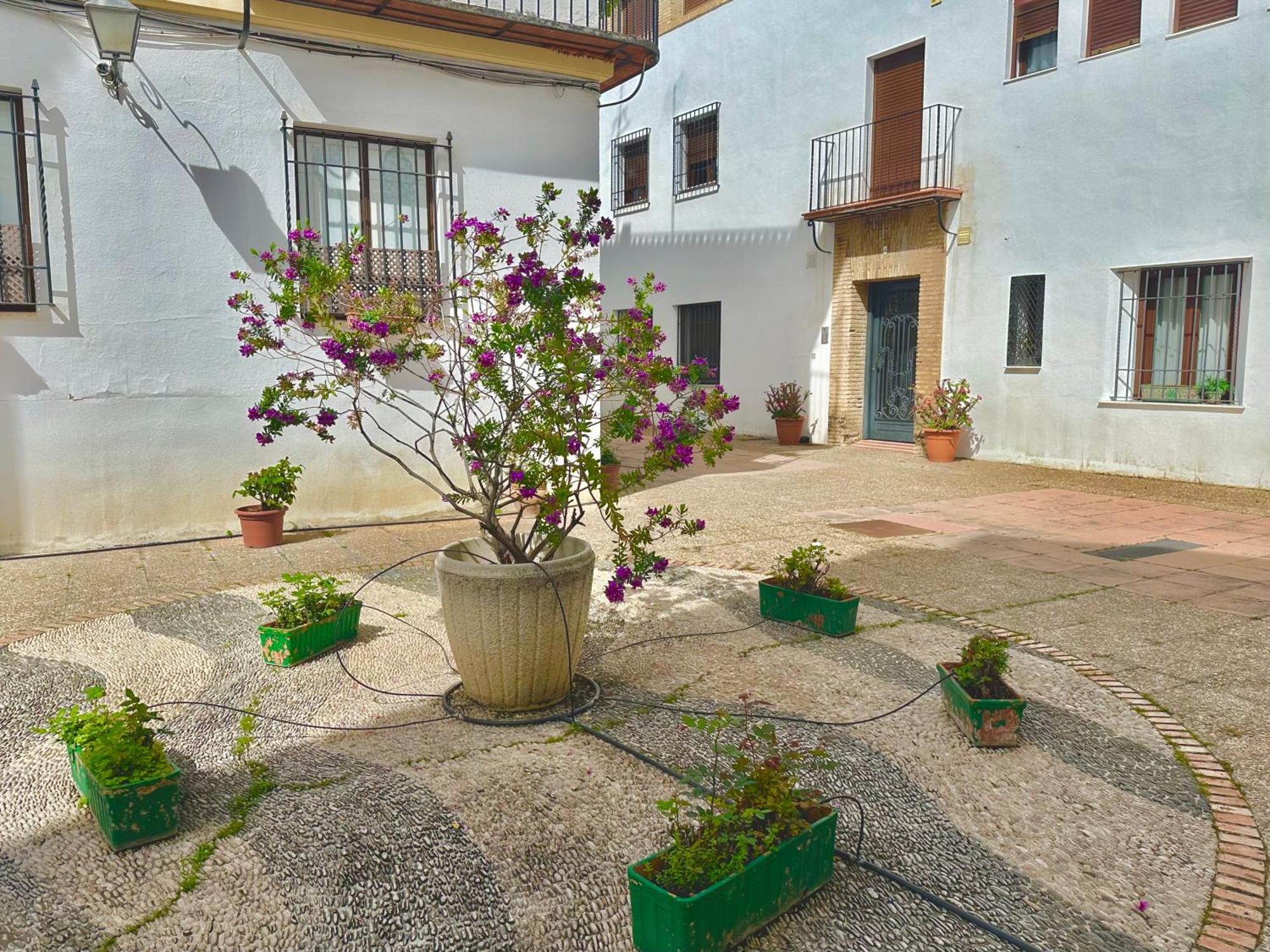 La Sacristia De San Pablo Apartment Cordoba Exterior photo